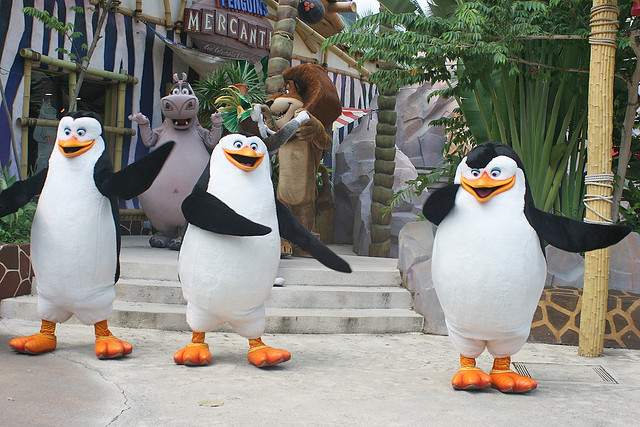 The penguins of Madagascar