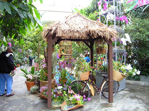 Botanic Garden - Courtyard