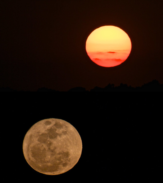 78/365: Moonrise, Sunset