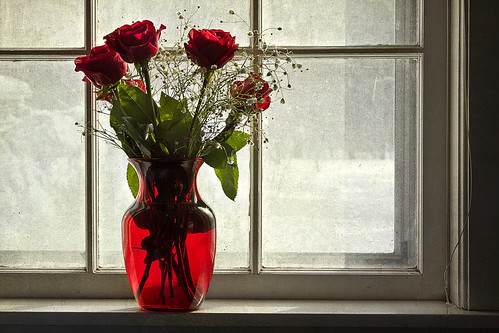  フリー写真素材, 花・植物, バラ科, 薔薇・バラ, 窓辺, 赤色の花, 花瓶,  