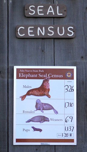 Seal Census