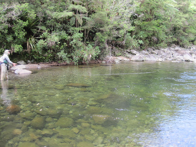 coromandel stream fishing
