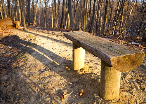 Shadows and Benches
