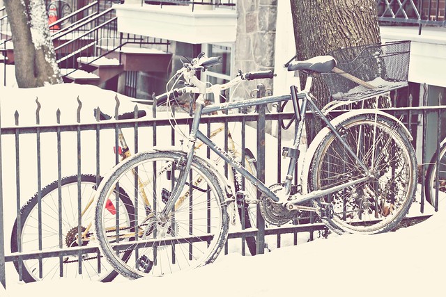 Bikes in the Snow