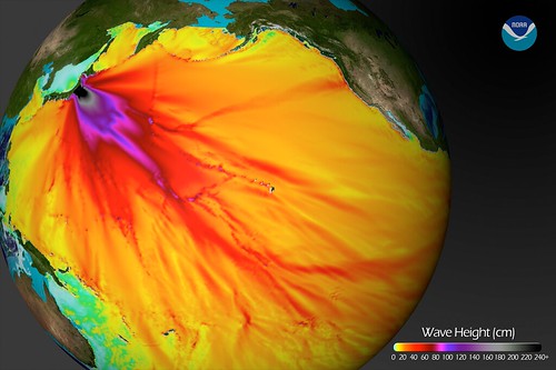 Tsunami Wave Height Model Shows Pacific-Wide Impact