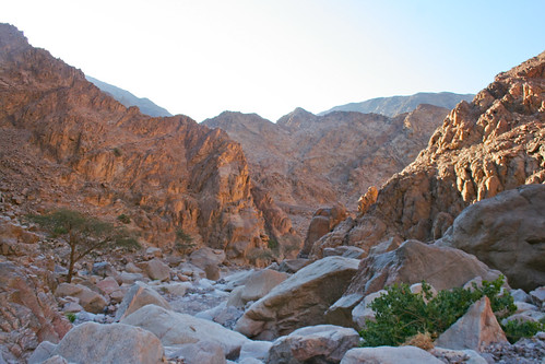 Sinai - Hiking