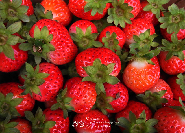 大湖草莓之旅 - 大力推薦 大山農園 R1039334