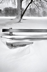 Storm Watch: Snow-Covered Bench