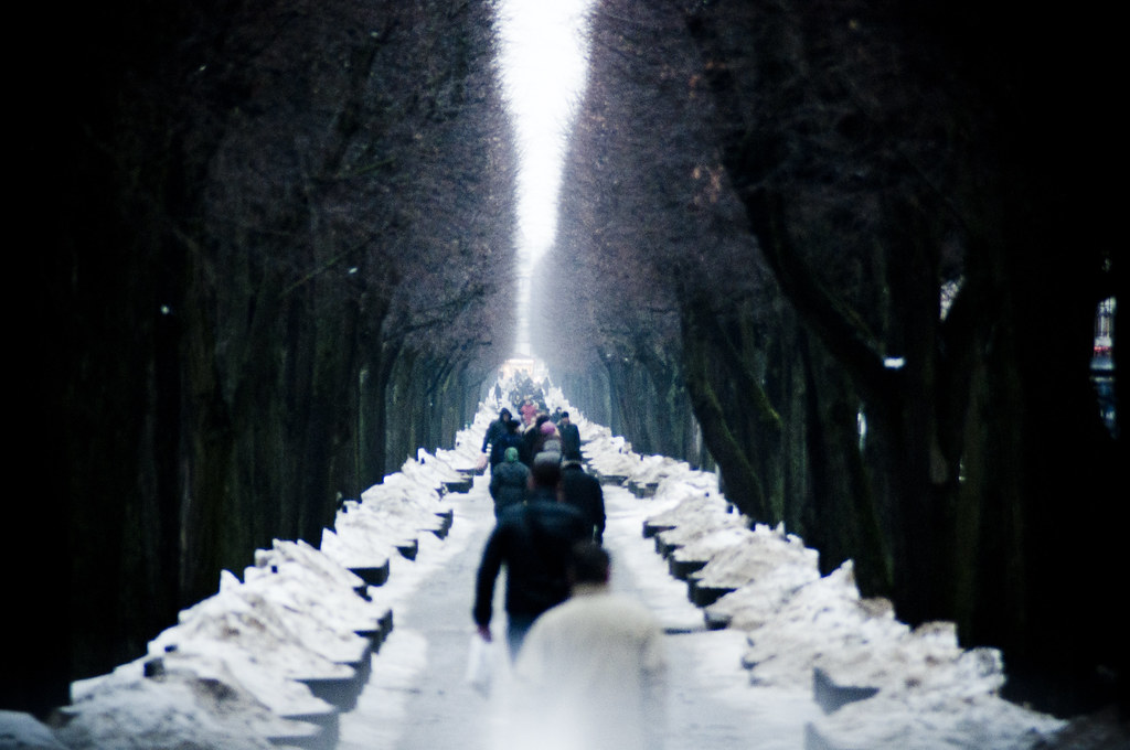 Laisvės al. žiemą | Freedom avenue, Kaunas, Lithuania