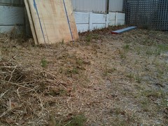 Site for raised beds