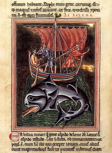 004- Las ballenas folio de un bestiario- hacia el año 1190- Bodleian Library-Oxford