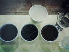 Cupping coffee