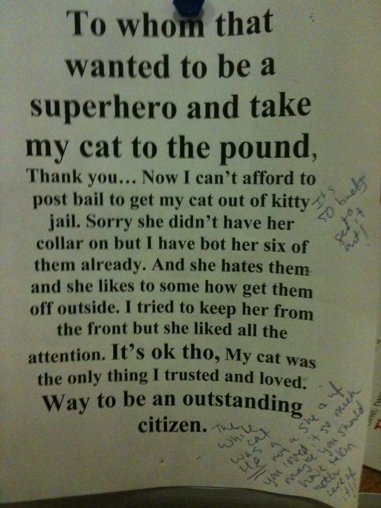 To whom that wanted to be a superhero and take my cat to the pound, Thank you...Now I can't afford to post bail to get my cat out of kitty jail. Sorry she didn't have her collar on but I have bot [sic] her six of them already. And she hates them and she likes to some how get them off outside. I tried to keep her from the front but she liked all the attention. It's ok tho, My cat was the only thing I trusted and loved. Way to be an outstanding citizen.
