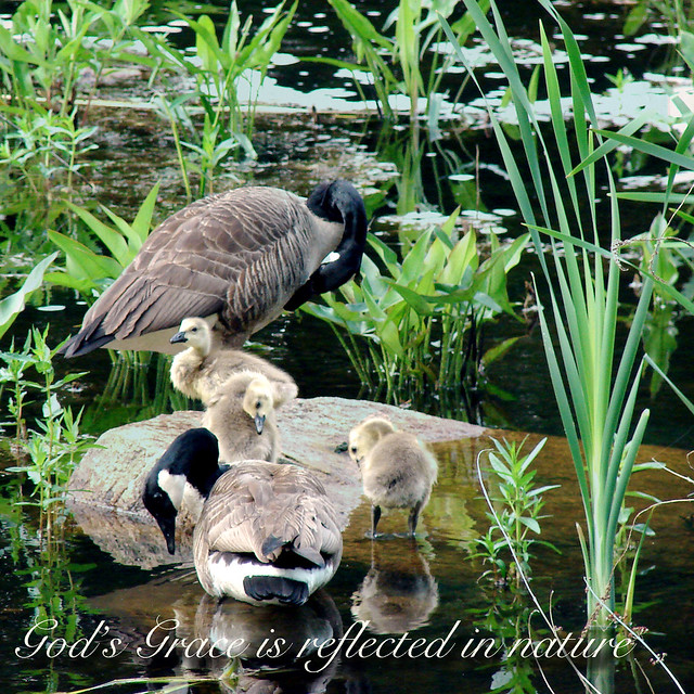 God's Grace is reflected in nature