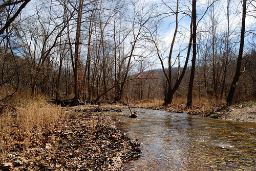 Camp Creek, on the white trail, Busiek State Forest and Wildlife Area, South West Missouri