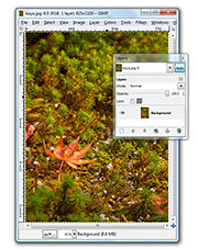 Pict 2: Single Background layer when photo is first opened.