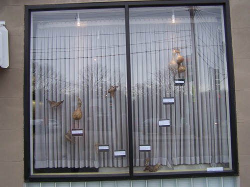 Art installation in the storefront window of Electrik Maid, Takoma, DC