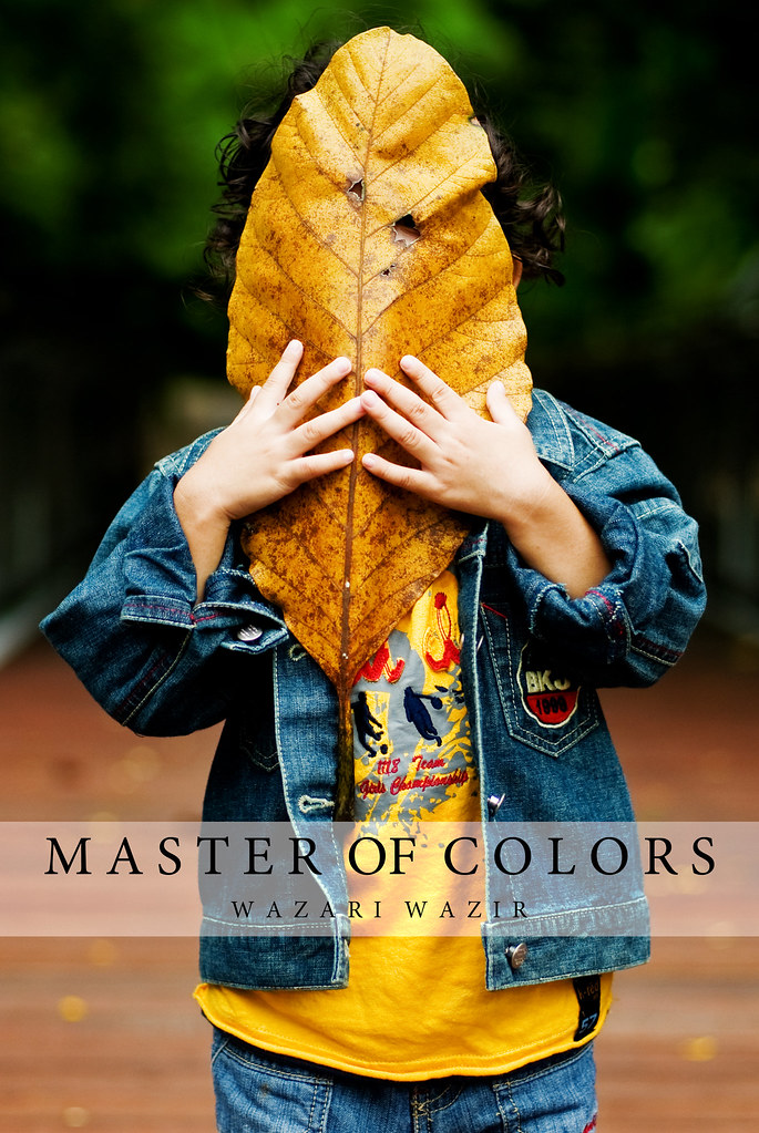 Master of Colors | New eBook | Unveiled The MASK