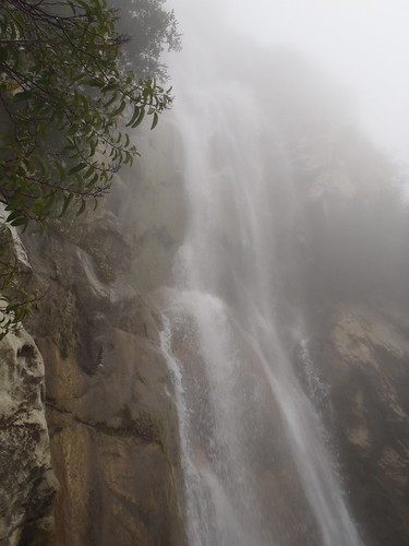 Tangering Falls Hike