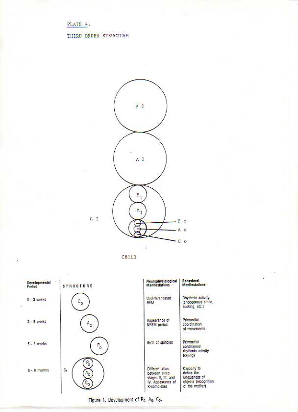 Third order structure - Child
