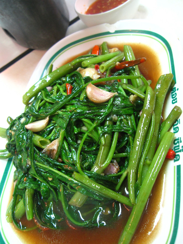 stir fried morning glory with chilies (pad pak bung fai daeng ผัดผักบุ้งไฟแดง)