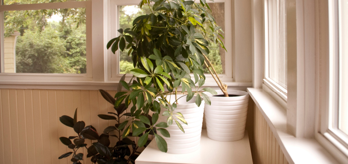 dash dot dotty dashdotdotty house tour interiors tan comfortable modern ikea chic house plants white pots