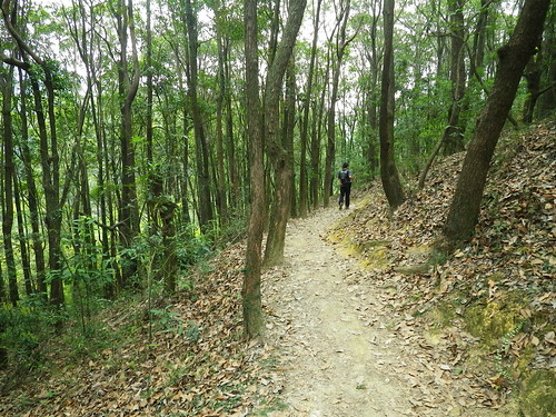 26/03/2011 Yuen Tseun Ancient Trail (run)