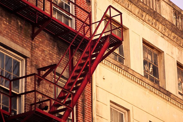 "morning was in the room and pigeons were gargling on the fire escape."