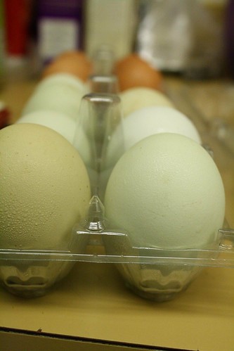 Local eggs, yay ;D
