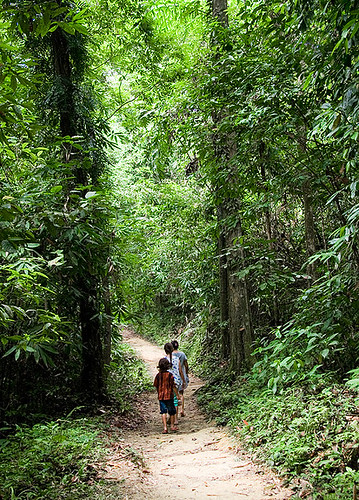Walking at Sri Phang Nga
