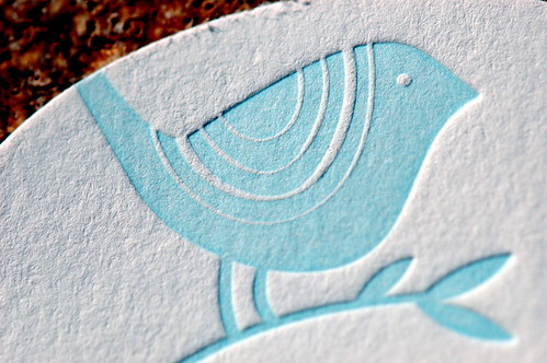 Blue Bird on Textured White Paper by Steve Snodgrass, on Flickr