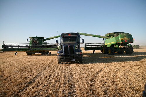 Two combines dump on the truck at once.
