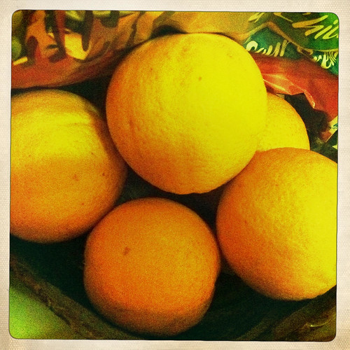Oranges harvest started. Day 213/365.