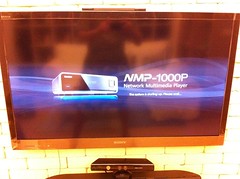 NMP 1000P