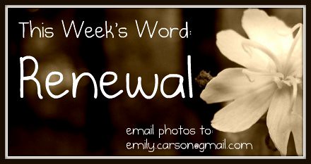 This week's Word, Renewal