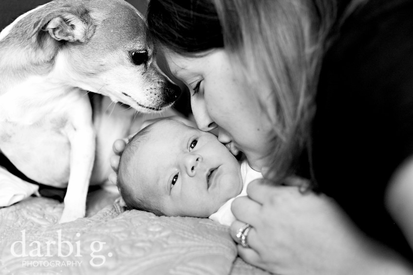 DarbiGPhotography-Kansas City newborn photographer-031511-MY-119