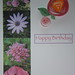 Pink nature montage card with quilling