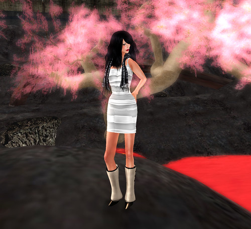 Cherry blossoms and perse
