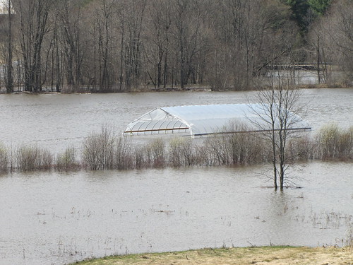 farm flooding, Wadhams, NY