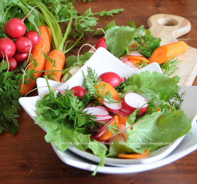 insalata di foglie di carota e di ravanello