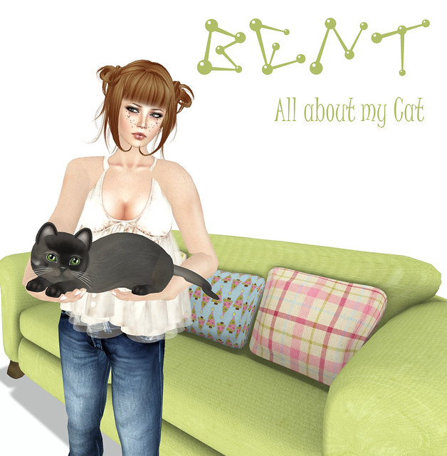 BENT! all about my cat 2