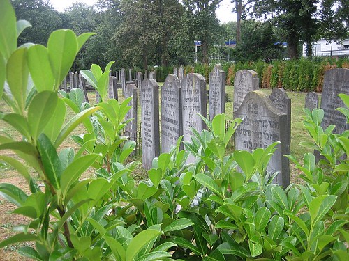 Jewish cemetery, Hilversum