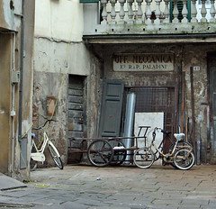 alley in Lucca