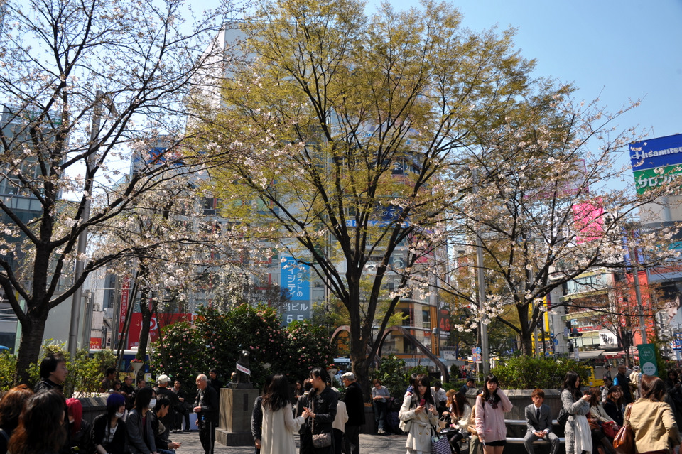 People waiting in front of Hachiko