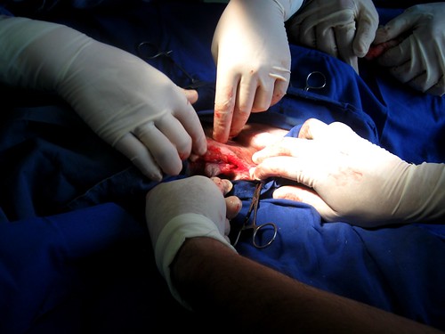 Orchiectomy AdaH Tags dog coffee surgery perro unam veterinary 