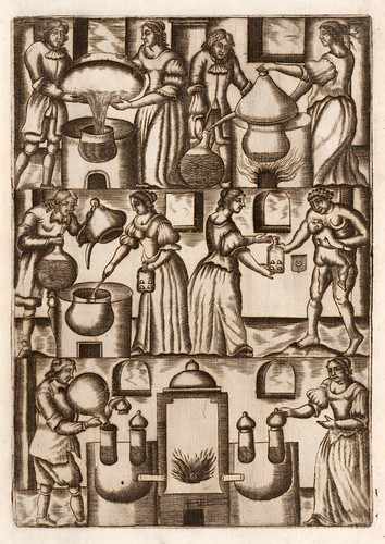 006-Mutus Liber 1677- La Rochelles- Petrum Savovret-Bibliothèque Électronique Suisse
