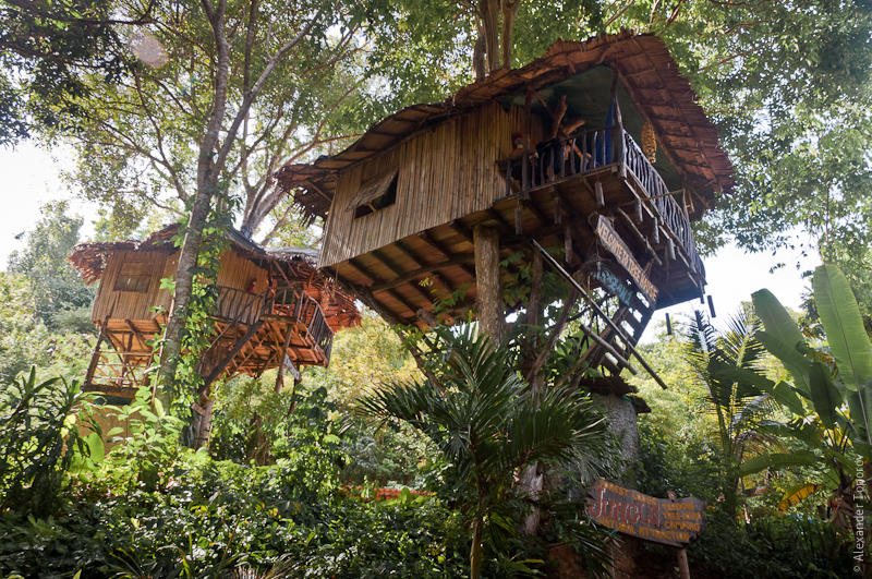 Treehouse of Koh Lanta