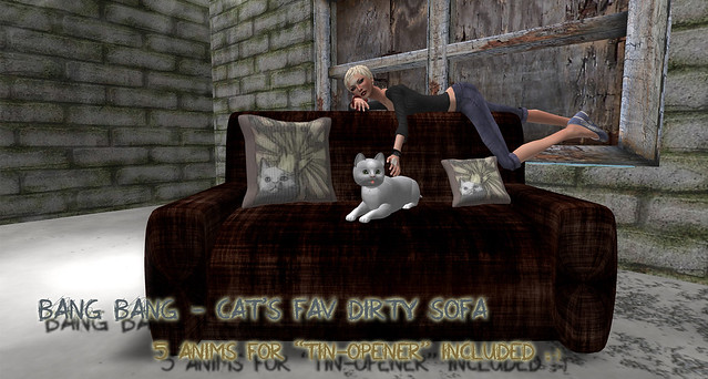 Bang Bang - Cat's fav dirty sofa