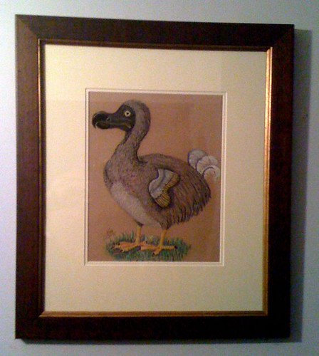 Dodo sketch by Ian McLean, 1981