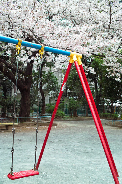 Sakura swing